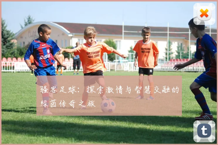 骚客足球：探索激情与智慧交融的绿茵传奇之旅