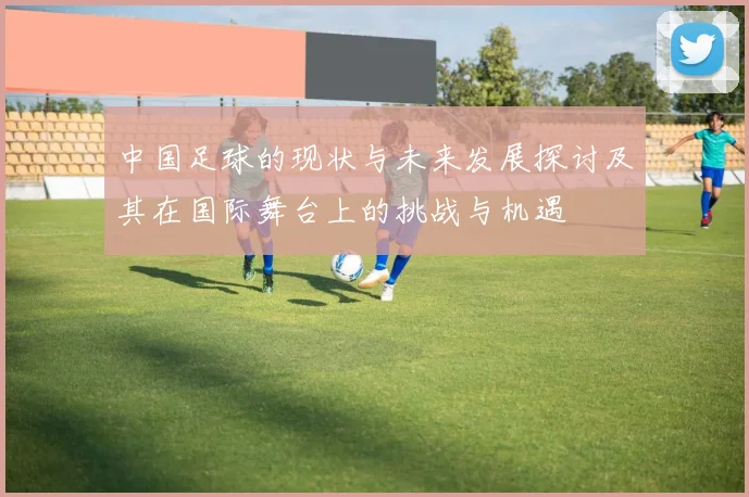 中国足球的现状与未来发展探讨及其在国际舞台上的挑战与机遇
