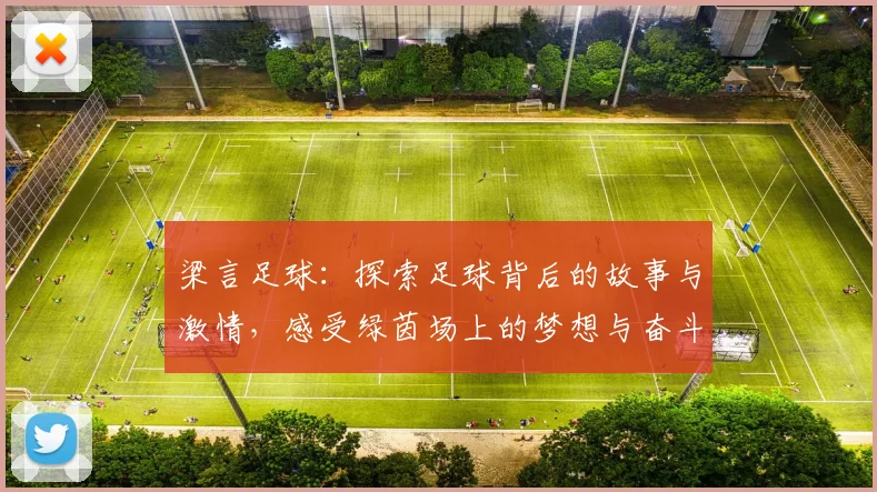 梁言足球：探索足球背后的故事与激情，感受绿茵场上的梦想与奋斗